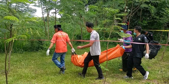 Penemuan Misterius Mayat di Perkebunan Desa Gendingan, Tulungagung