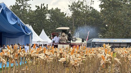 Panen Raya Jagung Serentak Kuartal II Tahun 2026 : Kolaborasi Nasional Dipimpin Polri dan Dihadiri Presiden RI