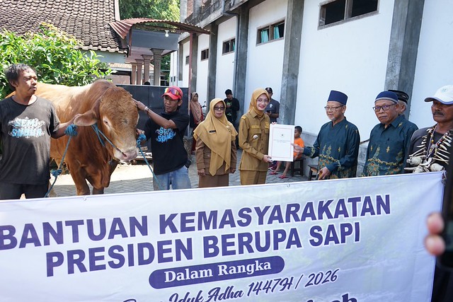 Sapi Kurban Presiden dan Pemkot Disalurkan, Mbak Wali: Semoga Membawa Kebahagiaan untuk Warga
