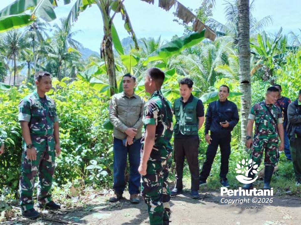 Perhutani dan Kodim Trenggalek Survei Kawasan Hutan Dongko untuk Rencana Batalyon TP dan Program Ketahanan Pangan