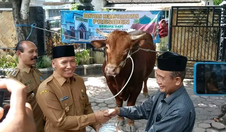 Plt Bupati Ahmad Baharudin Serahkan Sapi Kurban Presiden Prabowo untuk Warga Boyolangu Tulungagung