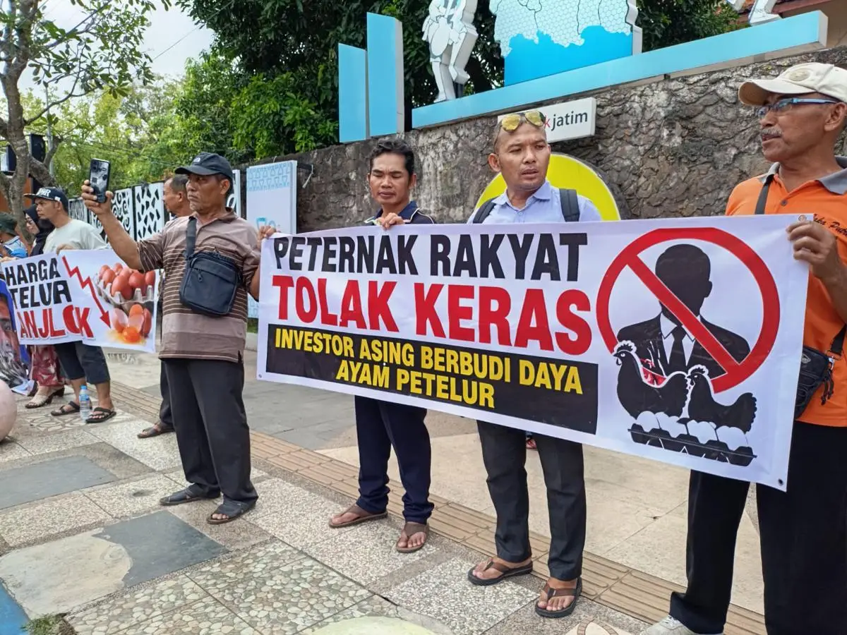 Peternak Telur Tulungagung Tolak Investor Asing, Ribuan Telur Dibagikan Gratis di Titik Nol Kota